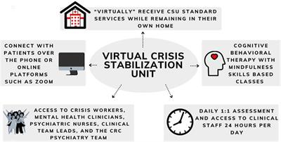 Providing crisis care in a pandemic: a virtual based crisis stabilization unit